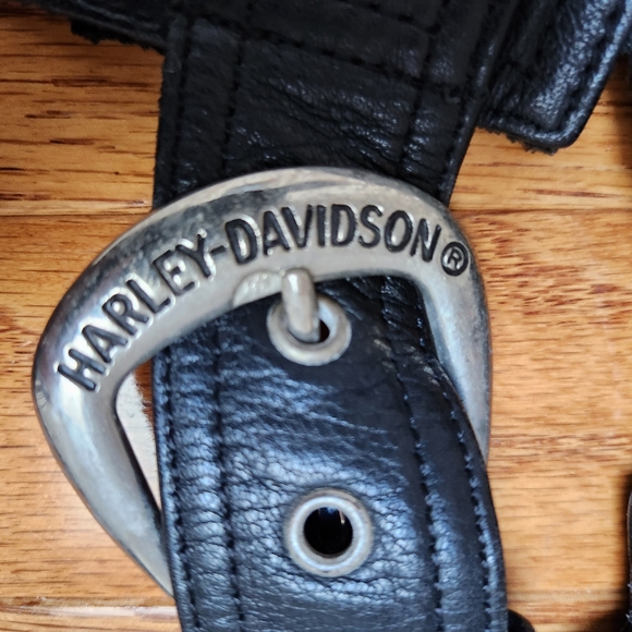 Harley Davidson Riding Chaps - Picture 4 of 17